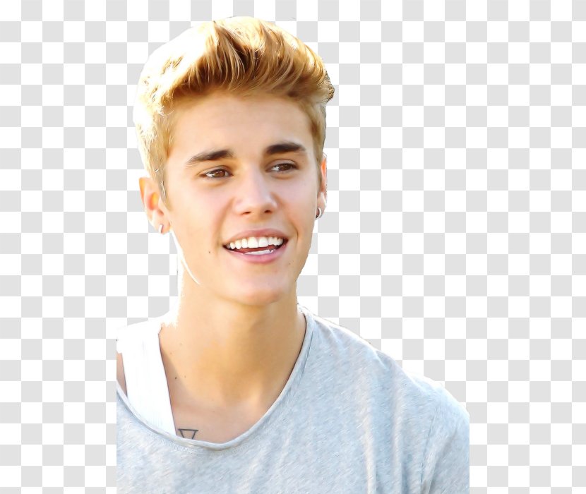 Justin Bieber Purpose World Tour Clip Art - Silhouette Transparent PNG