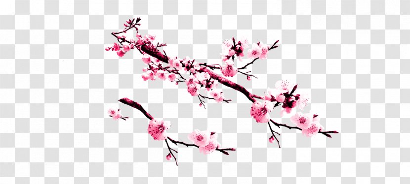 Peach Pink Cherry Blossom - Petal - Plum Flower Transparent PNG