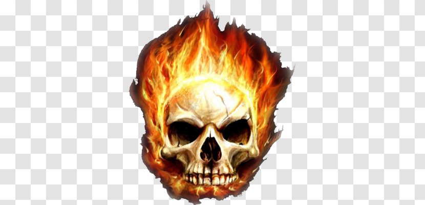 Desktop Wallpaper Garena Free Fire Skull Flame Transparent PNG