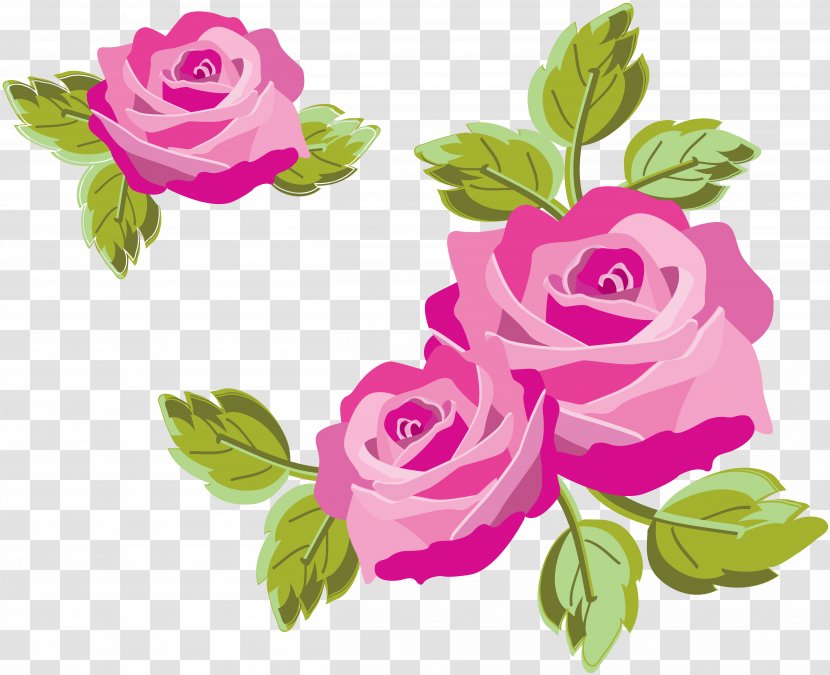 Still Life: Pink Roses Flower - Petal - Rose Transparent PNG
