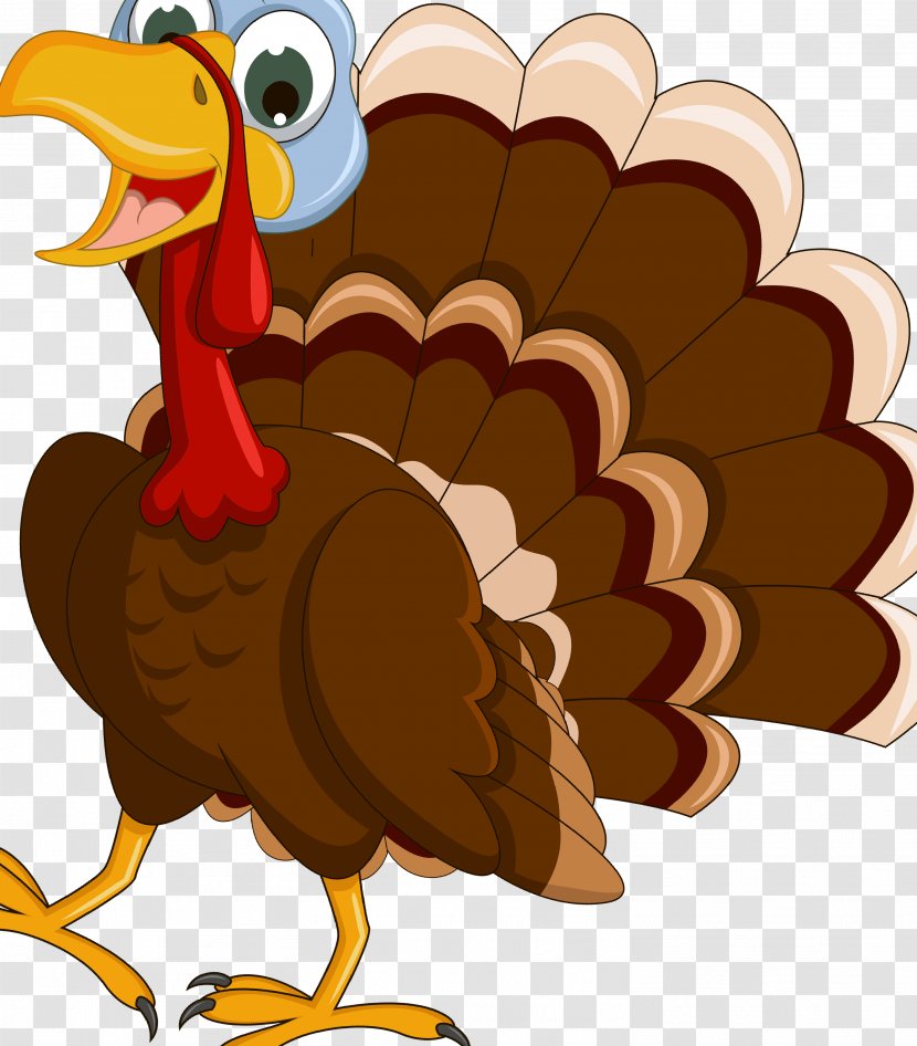 Turkey Cartoon Drawing Clip Art - Beak - Thanksgiving Transparent PNG