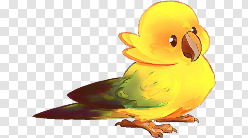 Bird Cartoon Parrot Yellow Beak Transparent PNG