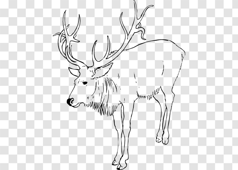 Rudolph Reindeer Antler Clip Art - Point - Realistic Cliparts Transparent PNG
