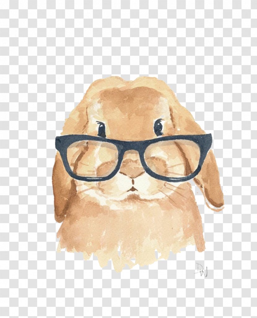 Holland Lop Rabbit Leporids Watercolor Painting Illustration - Printmaking - Bespectacled Picture Material Transparent PNG