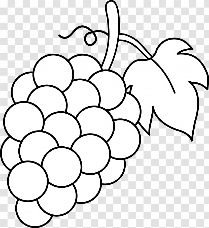 Common Grape Vine Wine Black And White Clip Art - Grapevine Family - Line Cliparts Transparent PNG