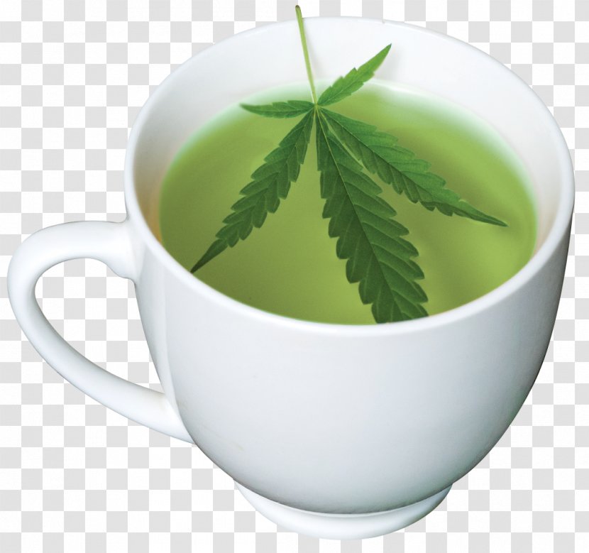 Green Tea Matcha Sencha Masala Chai - Plant - Drink Transparent PNG