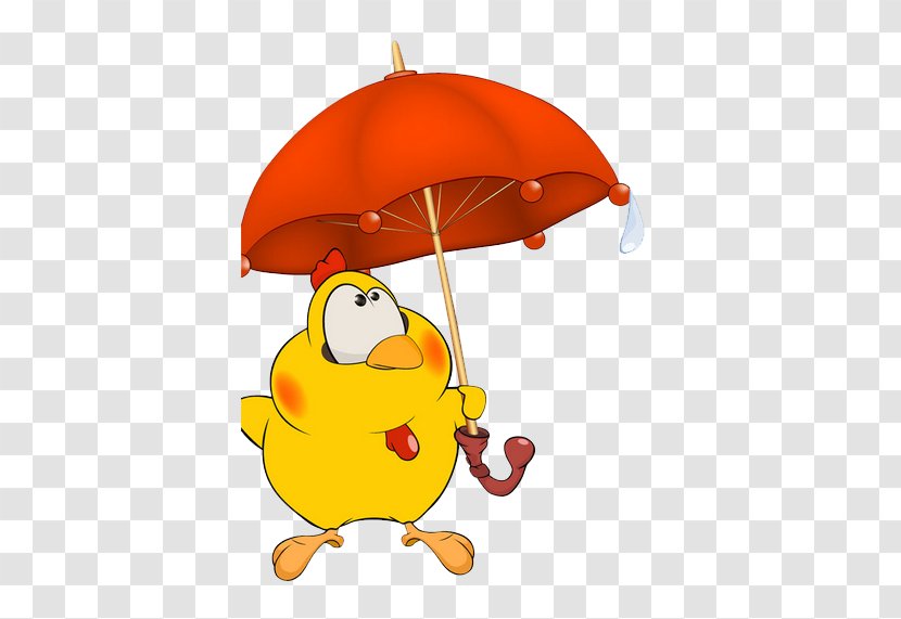 Chicken Cartoon Stock Photography Royalty-free - Network - Umbrella Transparent PNG