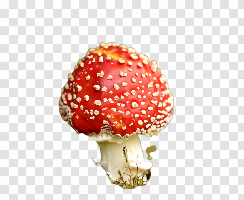 Strawberry - Mushroom - Plant Transparent PNG