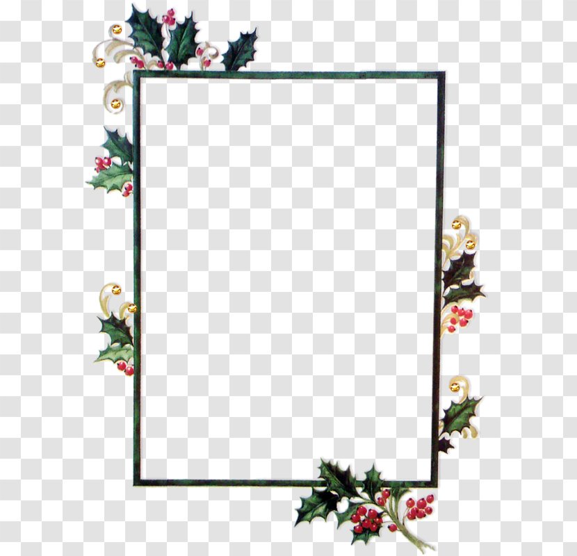 Picture Frames Photography Inspector Pok Floral Design Text - Cut Flowers - Fishing Rod Transparent PNG
