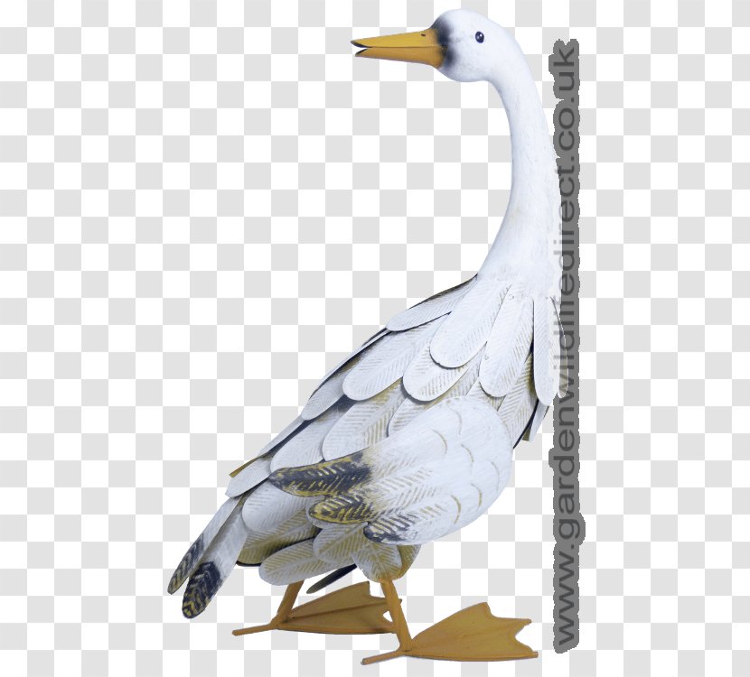 Duck Goose Garden Ornament Bird - Hand Painted Chicken Transparent PNG