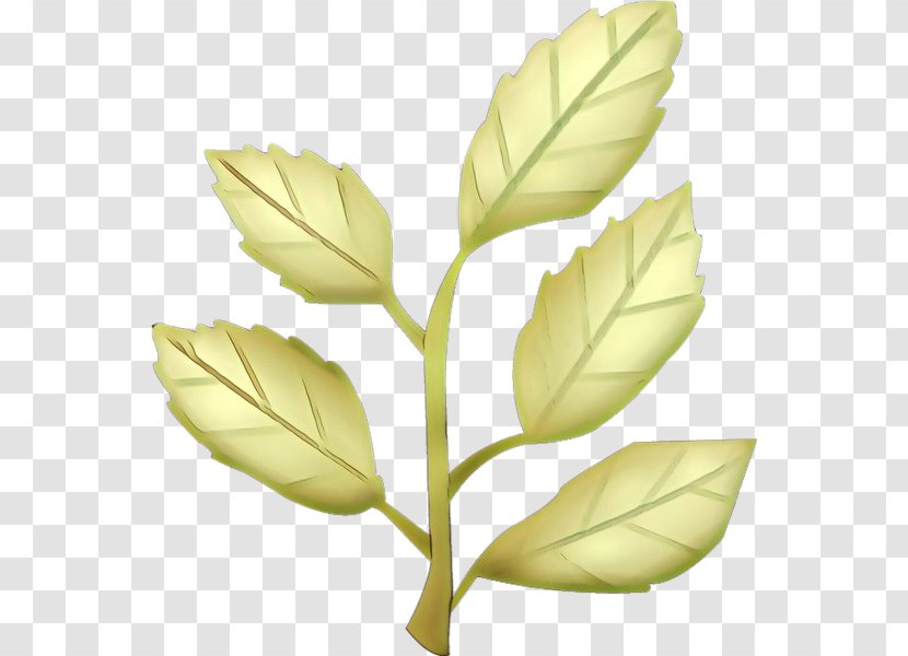 Flower Emoji - Cartoon - Flowering Plant Botany Transparent PNG