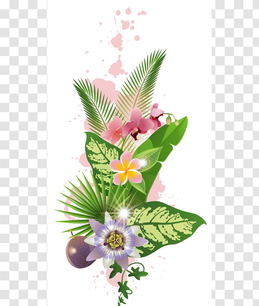 Vector Graphics Clip Art Flower Tropics Floral Design Transparent PNG