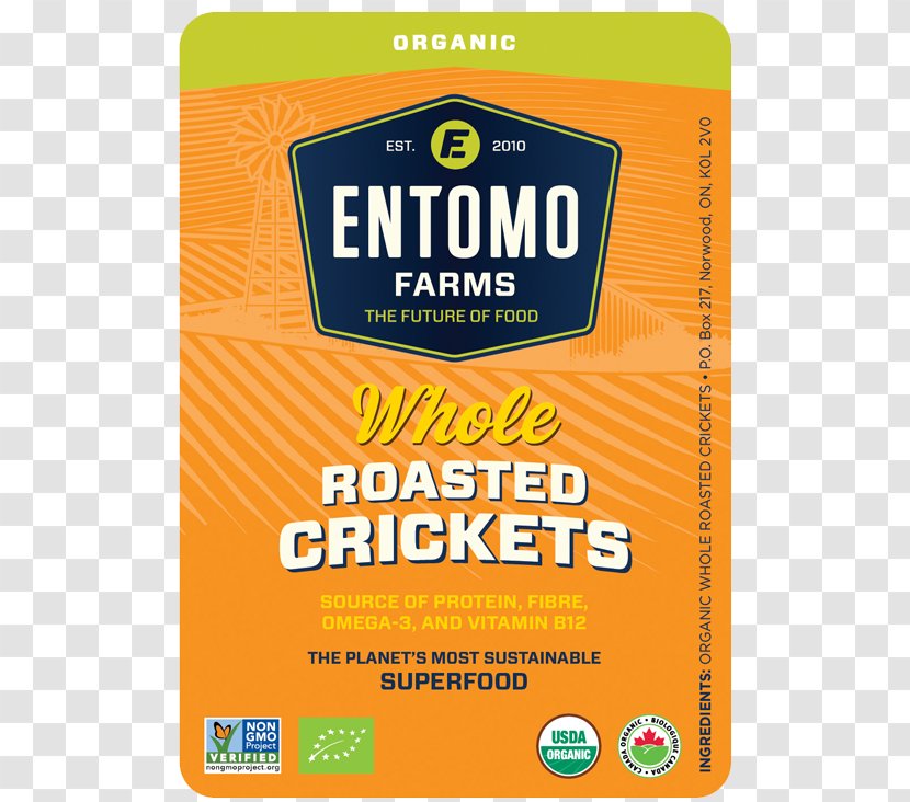 Insect Cricket Flour Entomophagy Food Powder Transparent PNG