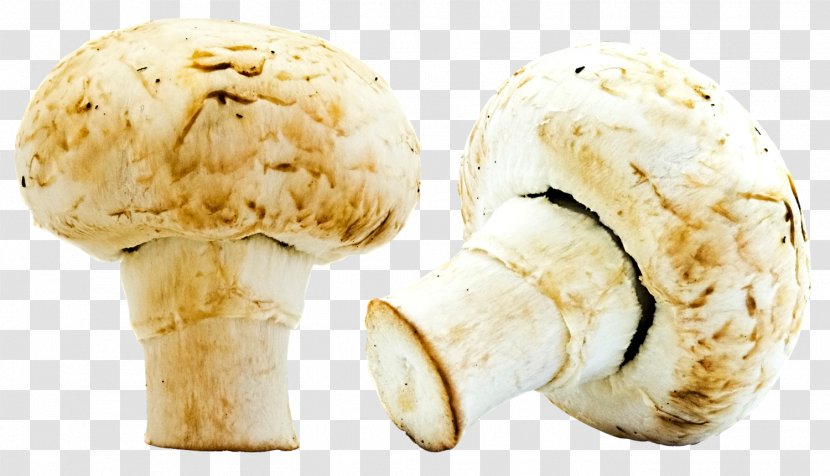 Ice Cream Mushroom - Sundae - Mushrooms Transparent PNG
