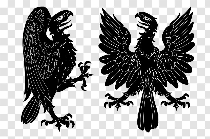 Negrete Coat Of Arms Chile Spain Escutcheon - Wing - Eagle Transparent PNG