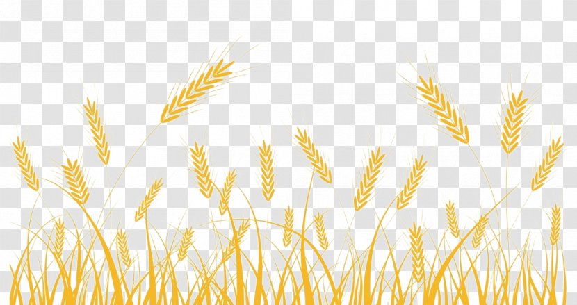 Royalty-free Clip Art - Barley - Wheat Decoration Transparent PNG