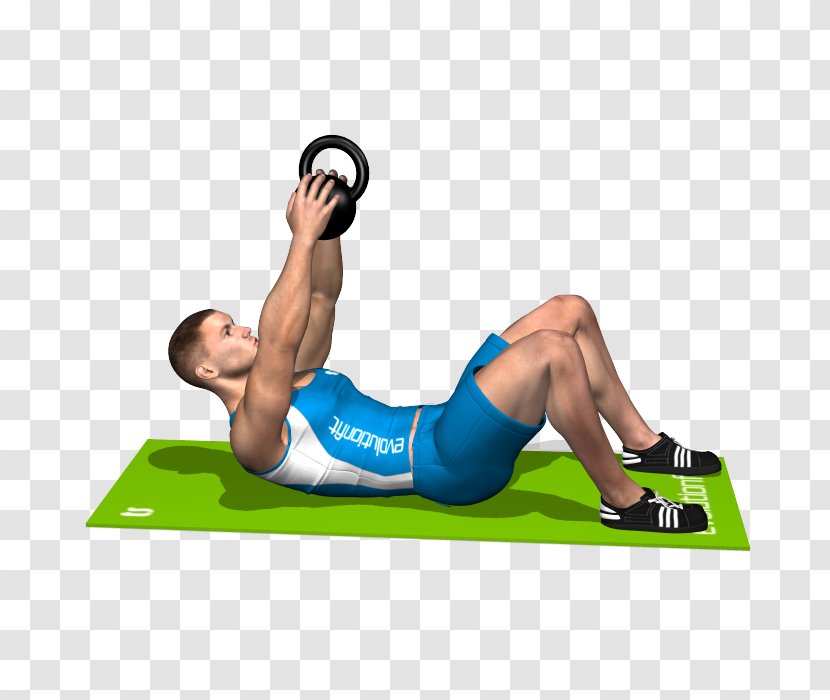 Physical Fitness Crunch Kettlebell Exercise Rectus Abdominis Muscle - Tree - Curl Up Transparent PNG