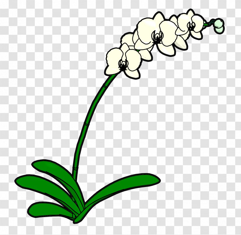 Floral Design Cut Flowers Plant Stem Leaf - Flora - Sesame Flower Transparent PNG