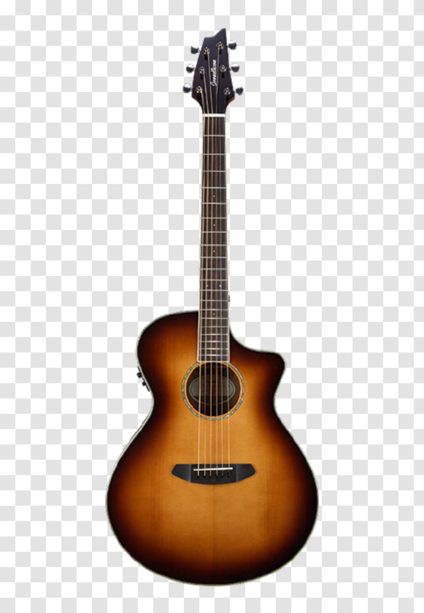 Acoustic Guitar Cutaway Electric Jay Turser - Tree Transparent PNG