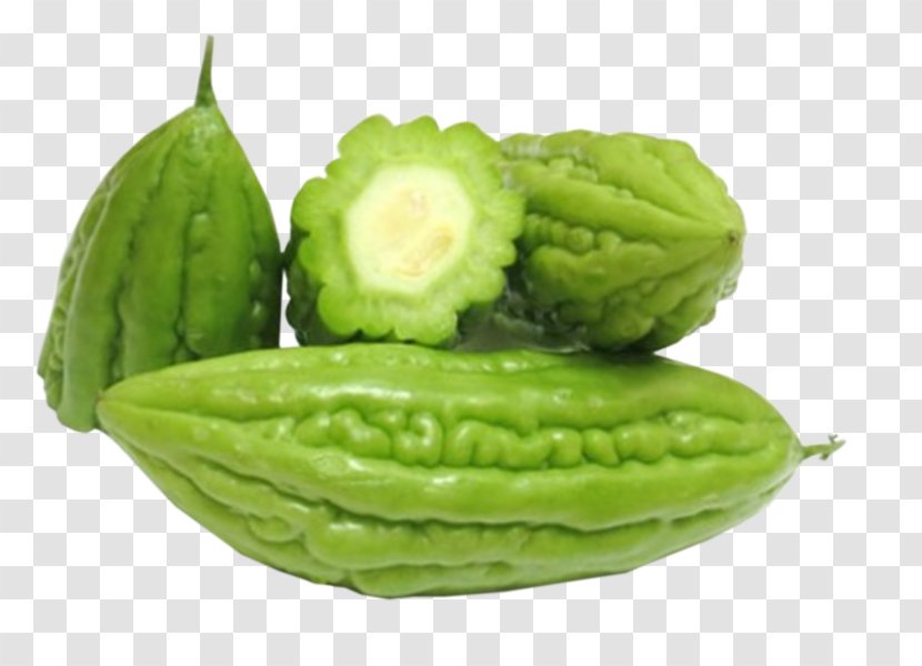 Bitter Melon Vegetable Food Chayote Health - Cucumber Transparent PNG