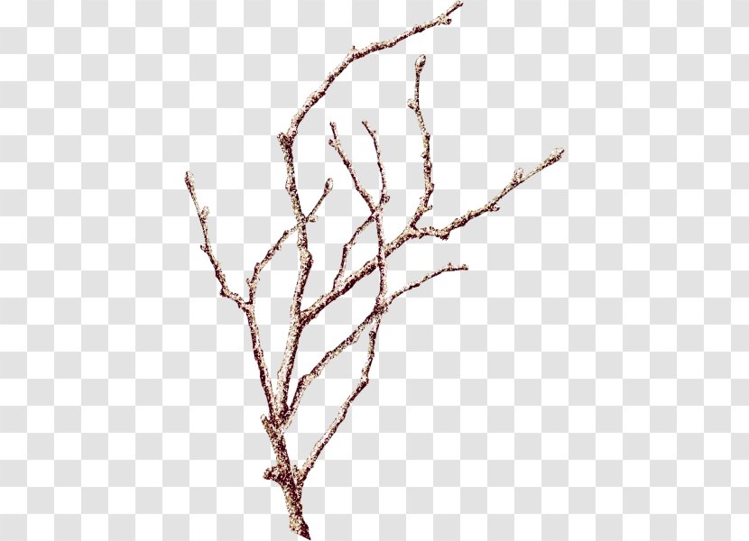 Download Template - Twig - Winter Branch Creative Transparent PNG