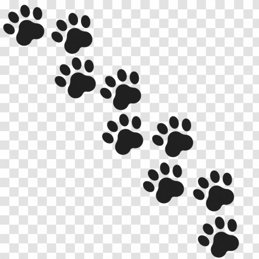 Gray Wolf Paw Royalty-free - Stock Photography - Footprints Transparent PNG