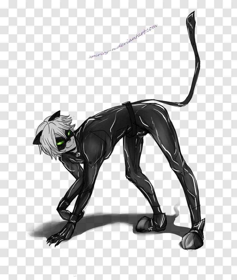 Black Cat Adrien Agreste Drawing Fan Art - Miraculous Tales Of Ladybug Noir Transparent PNG