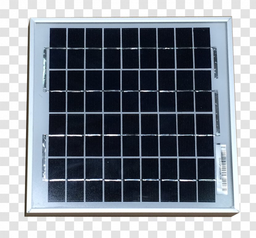 Solar Panels Cell Photovoltaics Thermal Collector Power - First - Twenty-four Term Egrets Transparent PNG