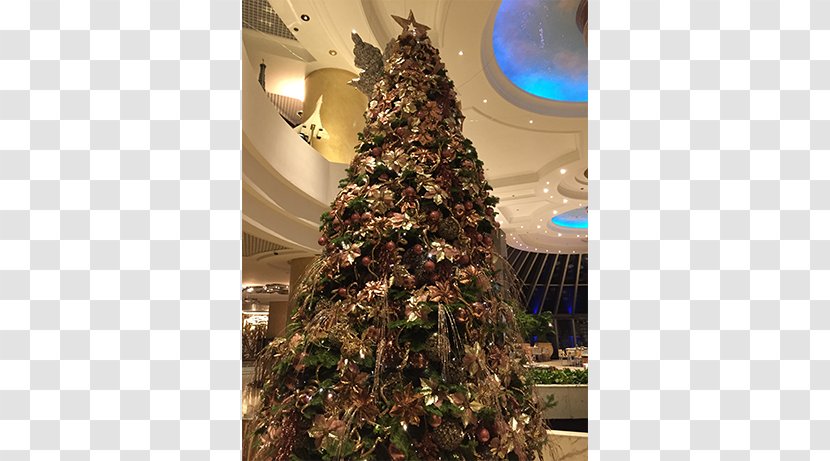 Christmas Tree Bukit Timah Spruce - Garden - Chinese New Year Peony Flower Pictures Transparent PNG