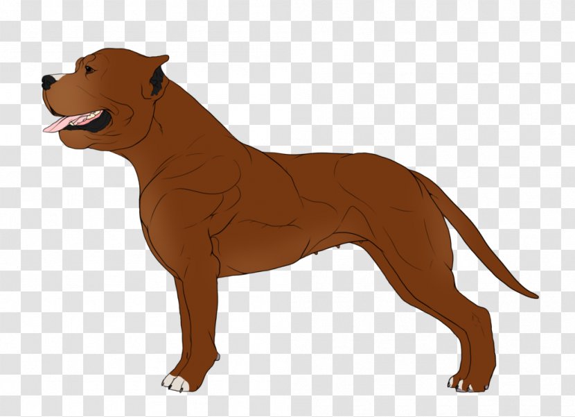Dog Breed Boston Terrier American Staffordshire Cane Corso Bull - Cat Transparent PNG