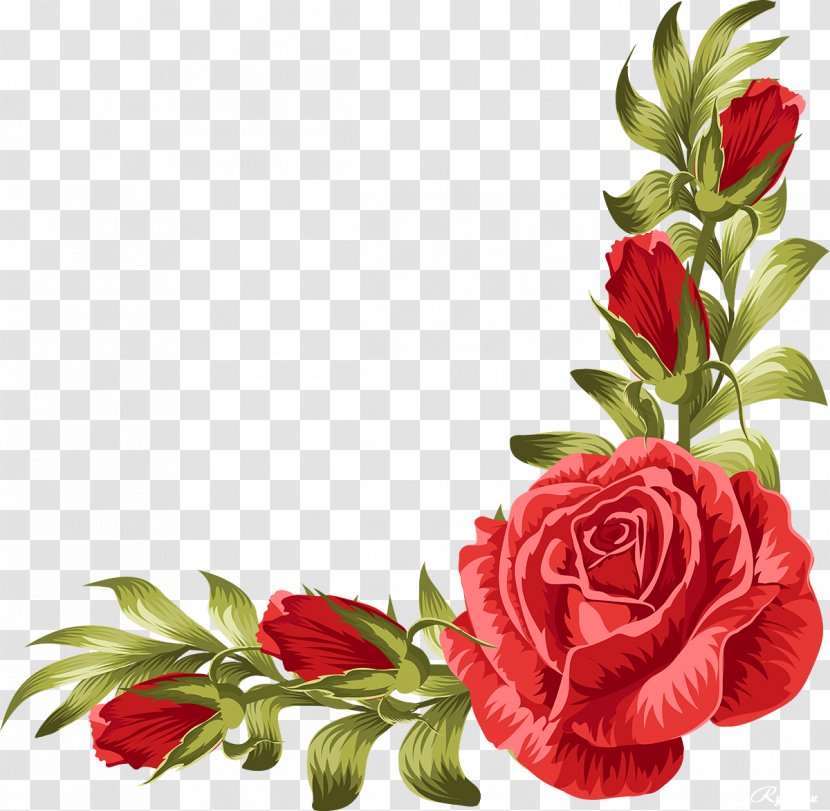 Wedding Invitation Rose Flower Leaf - Bouquet - Border Transparent PNG