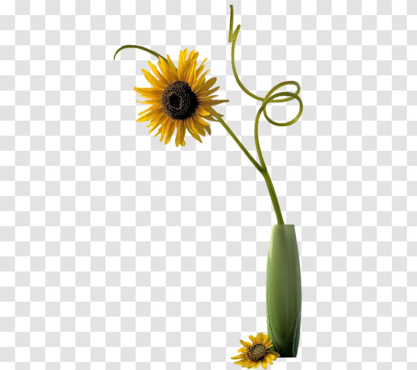 Vase Flower PhotoFiltre Clip Art - Yellow Transparent PNG