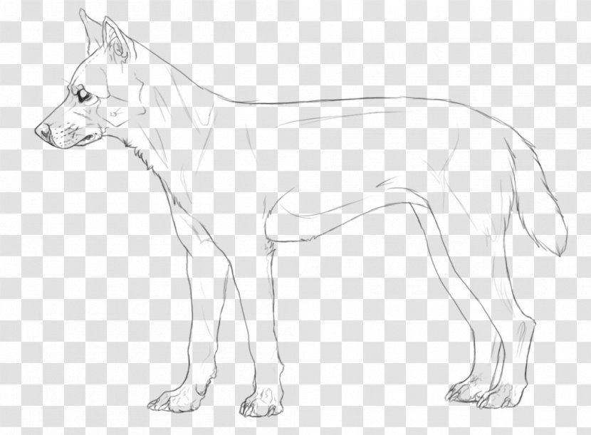 Dog Breed Line Art Drawing /m/02csf - Wildlife Transparent PNG