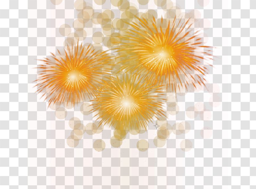 Fireworks Firecracker Wallpaper Transparent PNG