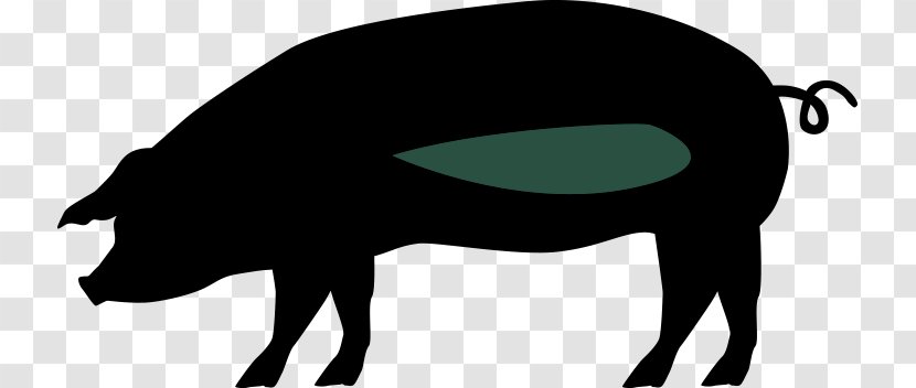Pig Horse Cattle Snout Clip Art - Organism - Spare Ribs Transparent PNG