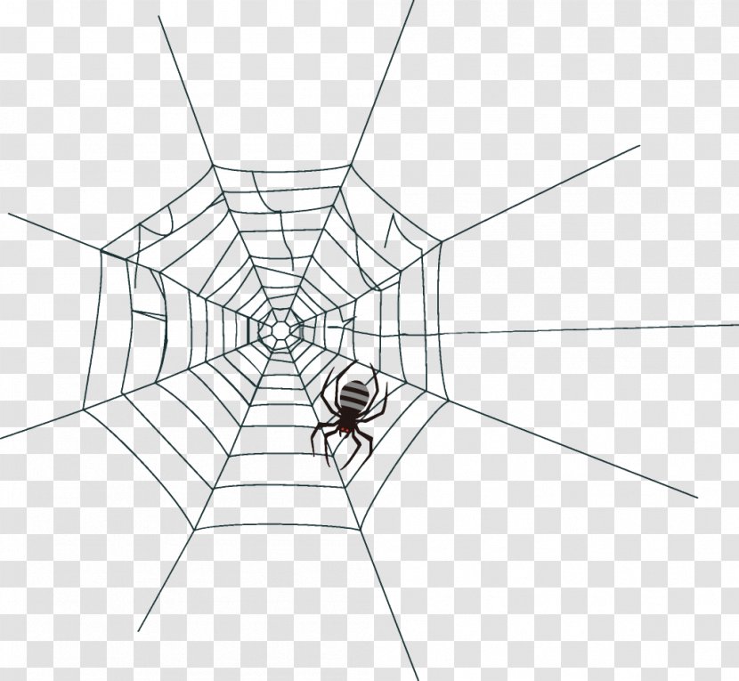 Spider Web Halloween - Blackandwhite - Diagram Transparent PNG