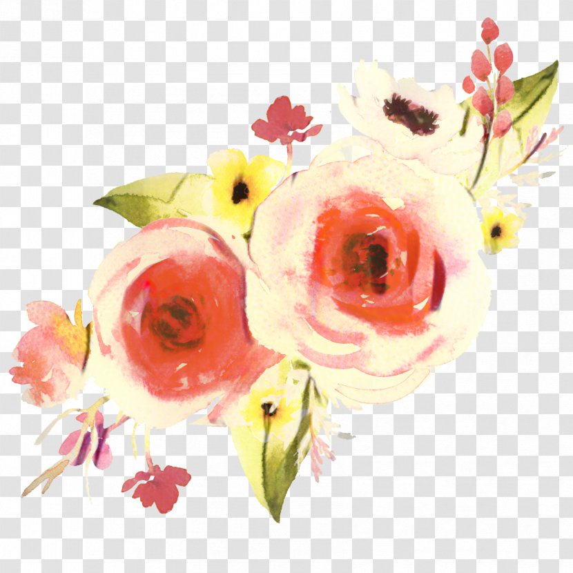 Garden Roses Cut Flowers Floral Design - Flowering Plant - Photography Transparent PNG