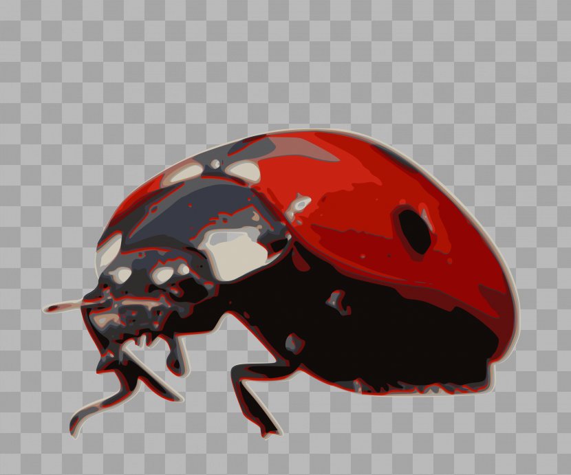 Beetle Cornell University Harlequin Ladybird Coccinella Septempunctata - Red - Mouse Trap Transparent PNG
