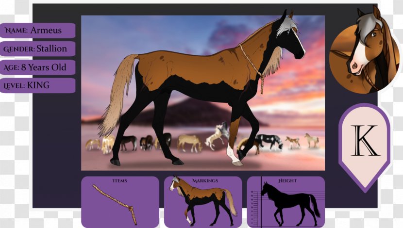 Mule Foal Stallion Colt Mare - Mane - Mustang Transparent PNG