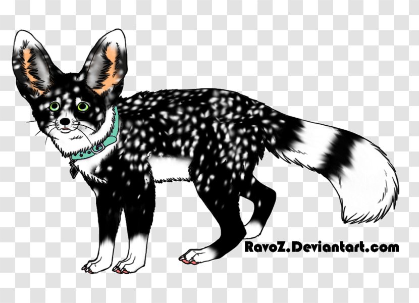 Marten Dog Cat Canidae Fox - Fennec Transparent PNG
