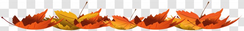 Autumn Leaf Color Clip Art - Close Up - Or Transparent PNG