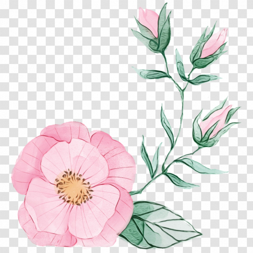 Flower Plant Petal Pink Prickly Rose Transparent PNG