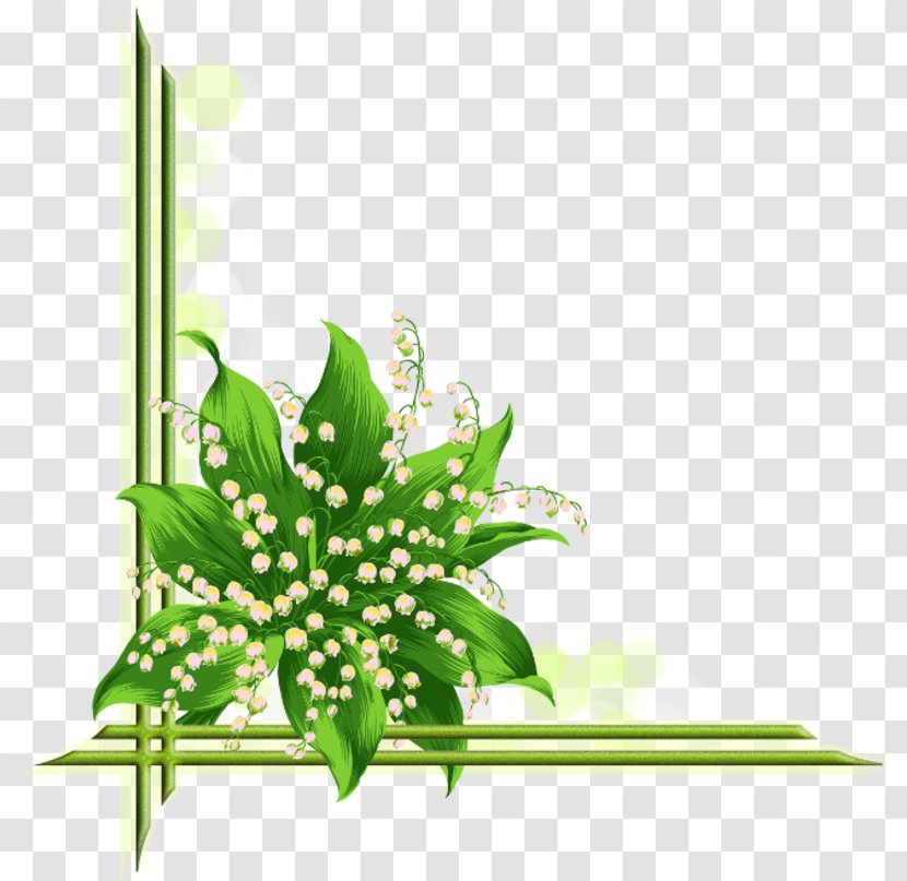 Lily Of The Valley Flower Poppy Clip Art Transparent PNG