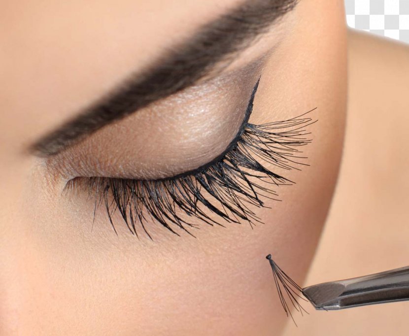 Eyelash Extensions Beauty Parlour Cosmetics - Threading - Female Eye Transparent PNG