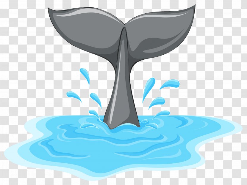 Whale Tail Clip Art - Drawing Transparent PNG