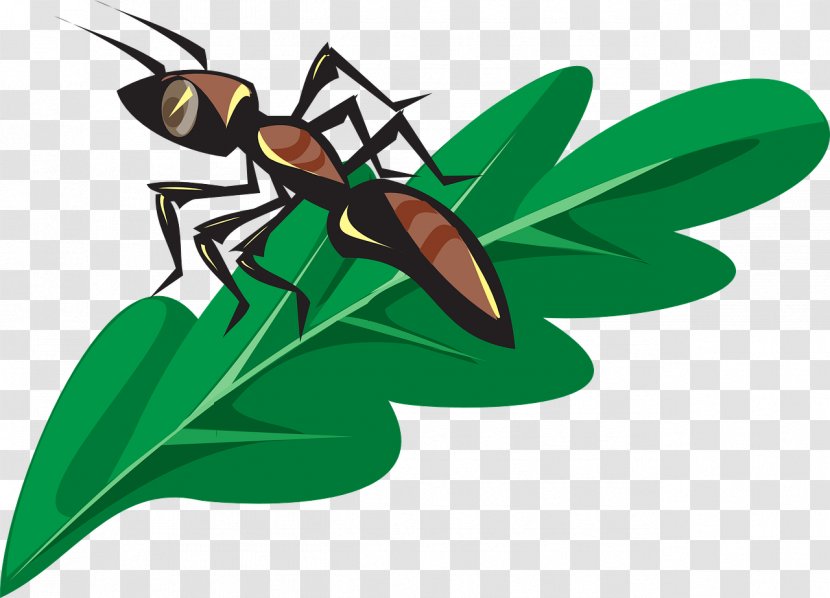 Clip Art Ant Insect Openclipart Transparent PNG