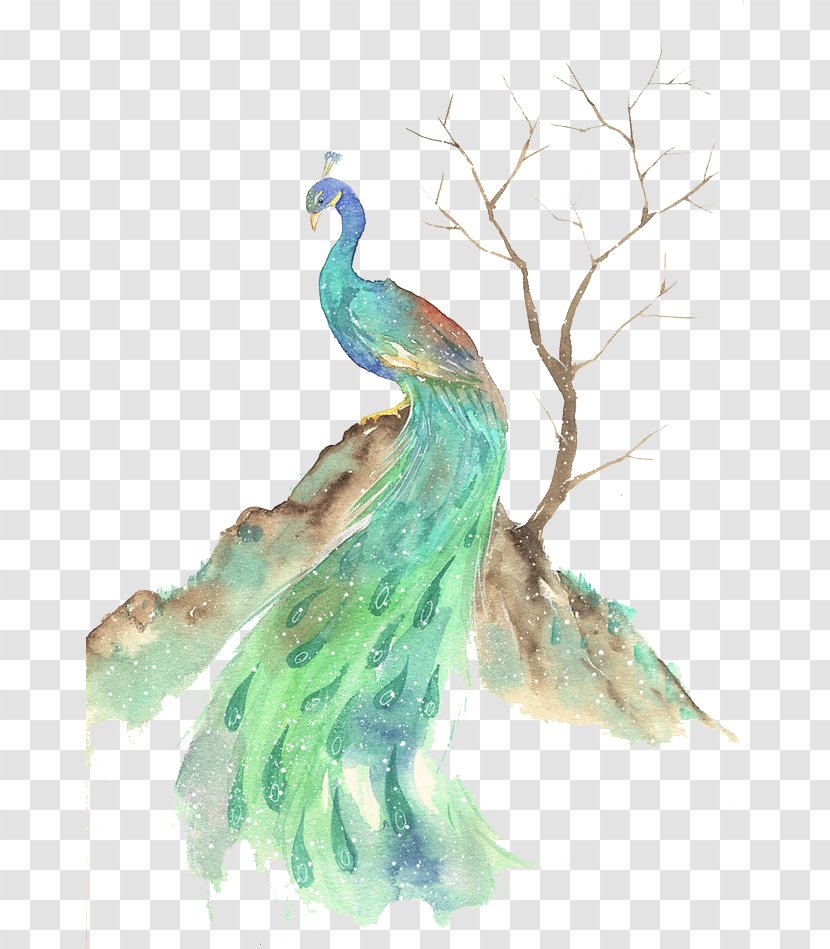Bird Watercolor Painting Illustration - Peacock Transparent PNG