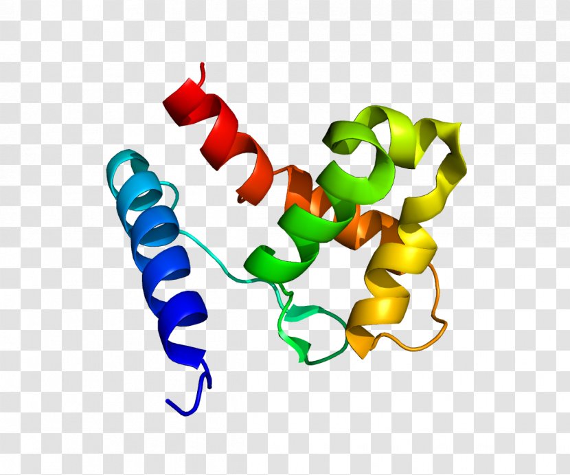 KDM5A Demethylase Protein Gene Histone - Enzyme Transparent PNG