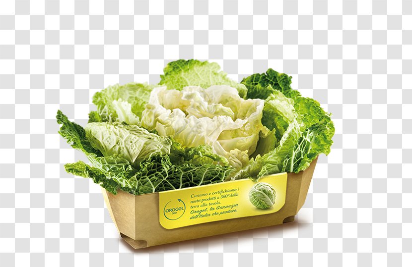 Romaine Lettuce Savoy Cabbage Broccoli Vegetarian Cuisine Spring Greens - Food Transparent PNG