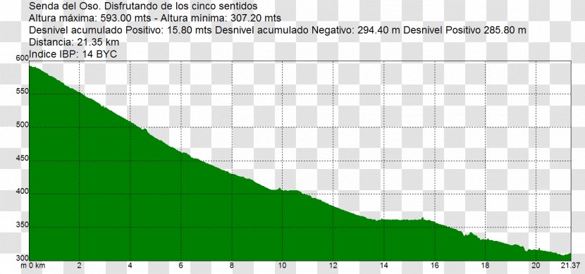 Triangle Point Diagram Leaf - Area - El Oso Pardo Transparent PNG